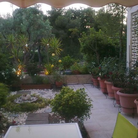 Comfortable Garden Apt Near Vouliagmeni Beach Αθήνα Εξωτερικό φωτογραφία