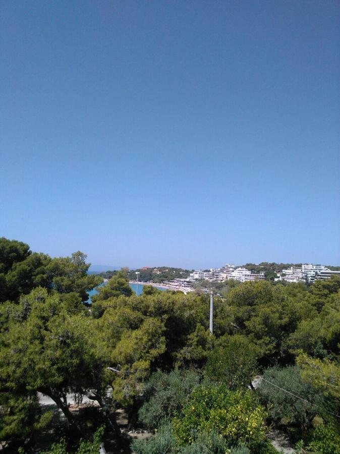 Comfortable Garden Apt Near Vouliagmeni Beach Αθήνα Εξωτερικό φωτογραφία