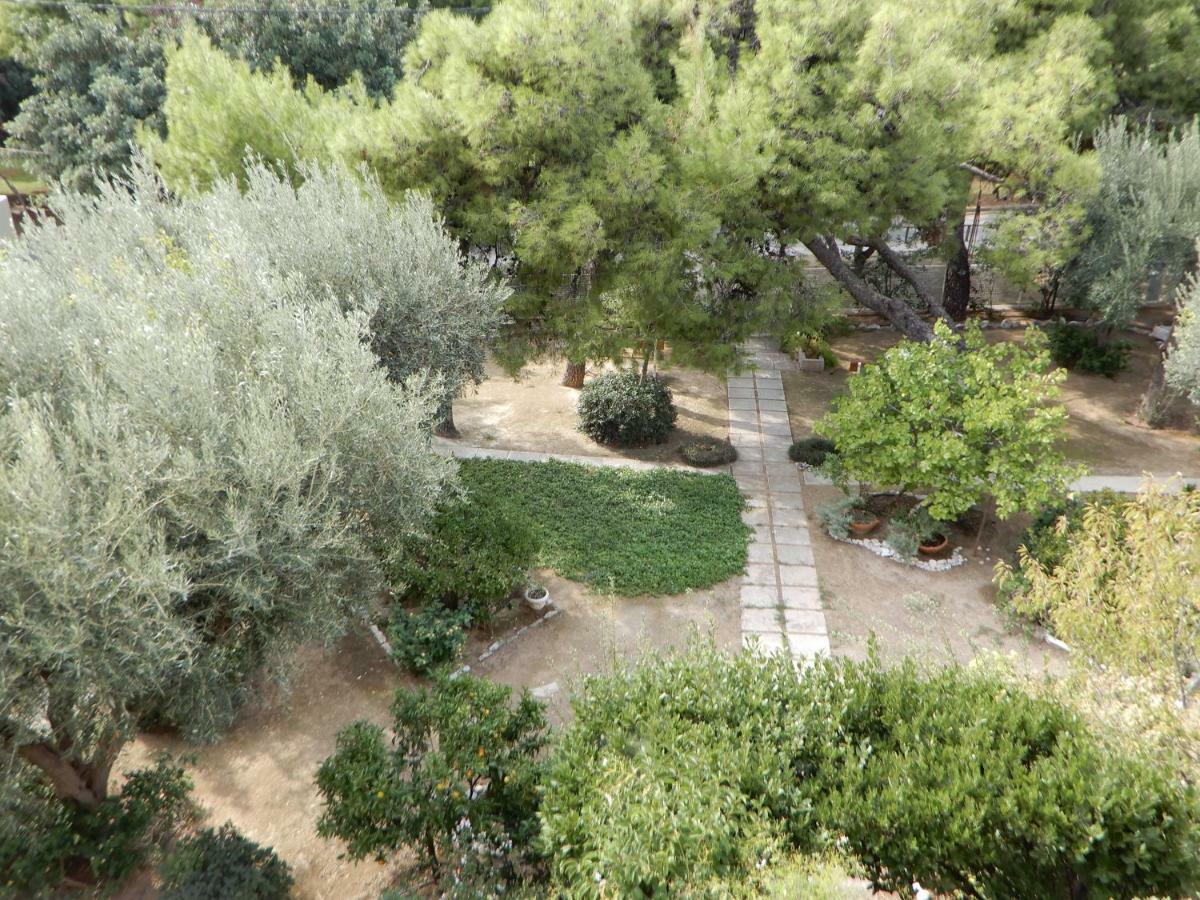 Comfortable Garden Apt Near Vouliagmeni Beach Αθήνα Εξωτερικό φωτογραφία
